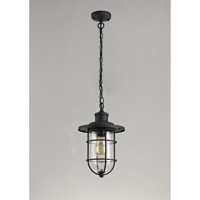 Nelson Lighting NL73149 Bosun Outdoor Pendant Black/Gold With Seeded Clear Glass